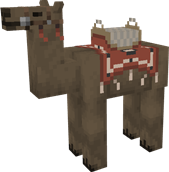 Brown Camel, saddle 2