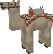 Normal Camel, saddle 3