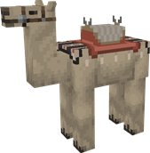 Normal Camel, saddle 4