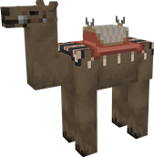 Brown Camel, saddle 4