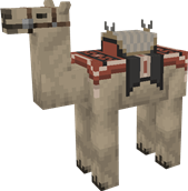 Normal Camel, saddle 5