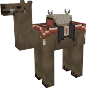 Brown Camel, saddle 5