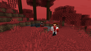 Patient 0 and B-virus infected