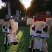 optifine support