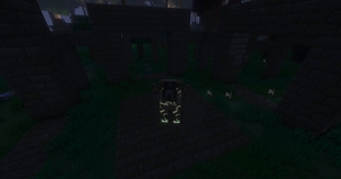 {Quest Ram}