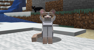 [Old] Persian cat