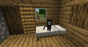 [Old] Tuxedo cat