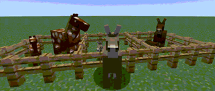 preview.gif