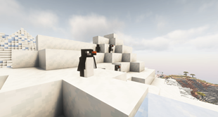 Intermediate Version