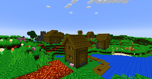 Village