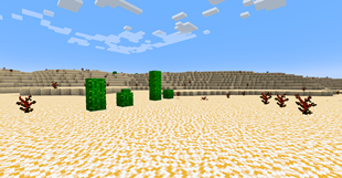 Desert