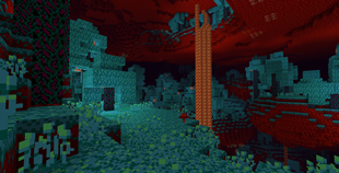 Nether
