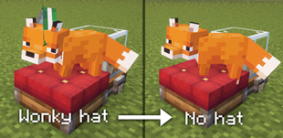 Nohat_gallery.png