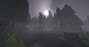 Foggy Forest.png