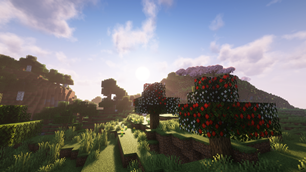 Orange Tree