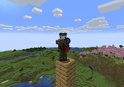 Capture.PNG