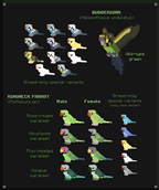Budgies & Ringnecks