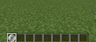 disc in hotbar
