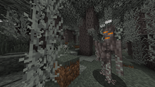 image1.png