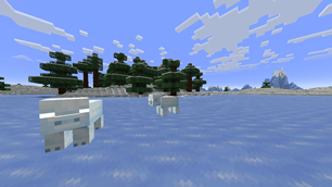 image2.png