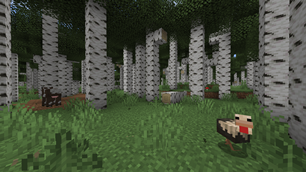 image3.png