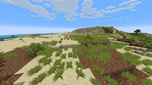 image5.png
