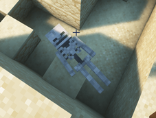 Corspe Mod