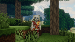 New Skeleton Animations and Skins