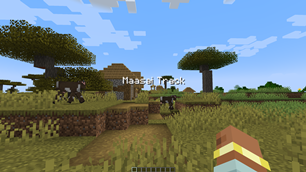 Village example 2