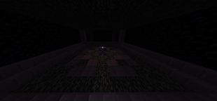 Inside the Echogate, viewing the Echo Nexus. Used to summon The Hollow Reamnant.