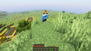 Replaced  Hunger Bar with Potatoes