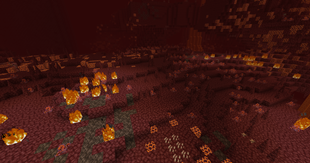 Nether Wastes