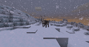 Deer