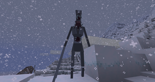 Frozen Stalker