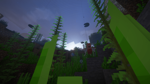 Beauty Contest Submission: Wheeze -1