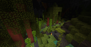 Tropical Caves