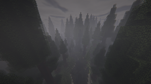 Explore the endless redwood forest