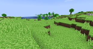 Plains