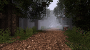 Eerie forest