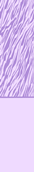 Screenshot 21