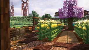 Summer garden with various crops and decorations (1).jpg