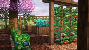 Summer garden with various crops and decorations (2).jpg
