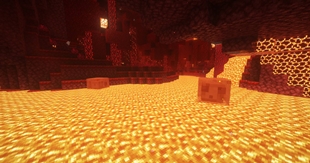 Fire slimes in Nether