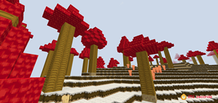 1000104759.png