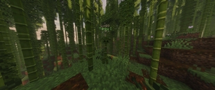 Creeper Variant.jpg