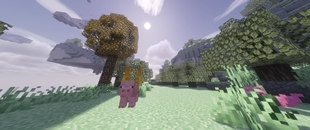 Flying Pig.jpg