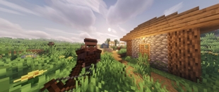 Guard Villager.jpg