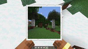 High-Resolution Photo