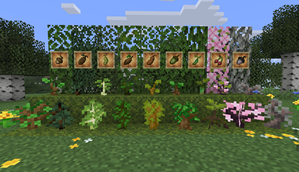 All Seed items and Saplings