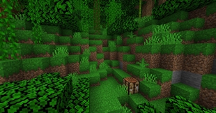 jungle biomes